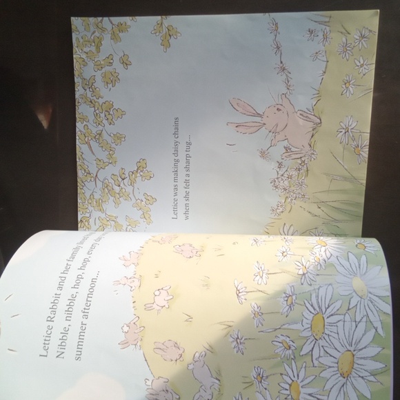 Lettice Rabbit Storybook - Picture 3 of 5